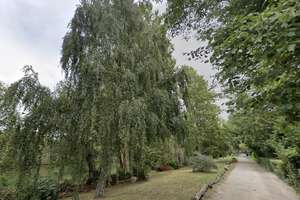 Property thumbnail 13