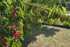 Property thumbnail 10