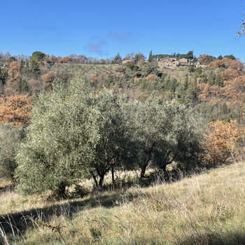 Grundstck kaufen in Siena - ImmoScout24
