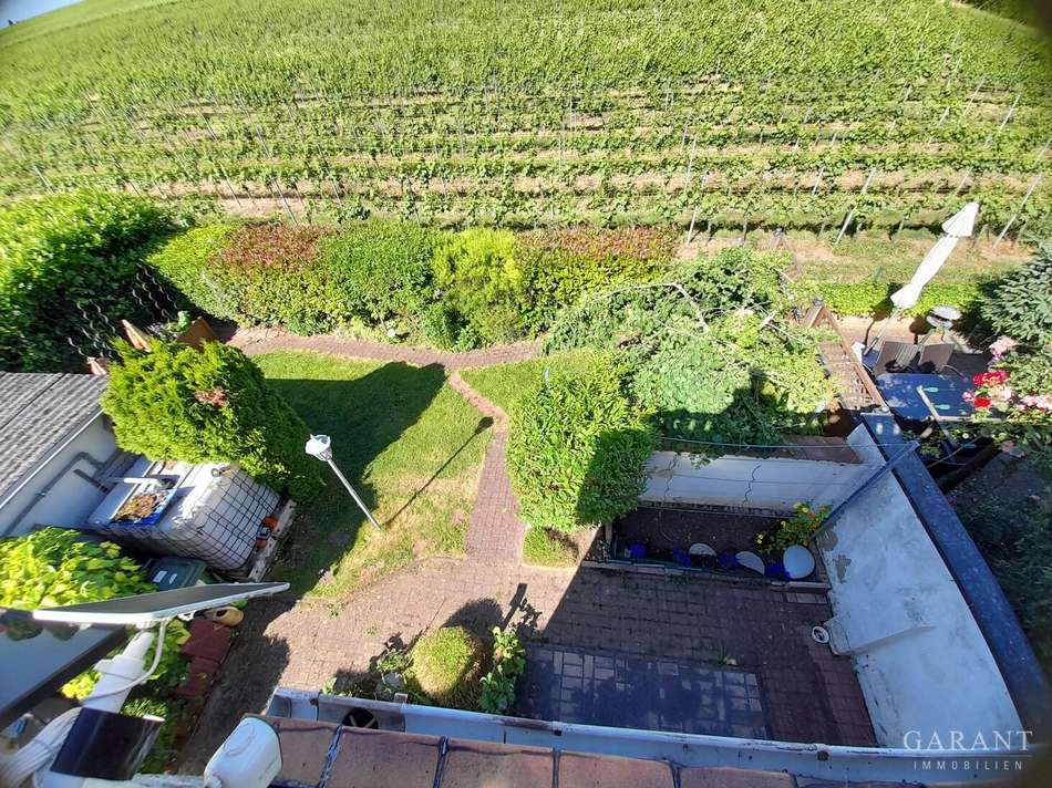 Blick in den Garten