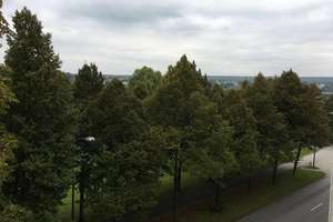 Schöne 3-Zi.-Wohnung mit Elbblick / Dresden-Johannstadt – Käthe-Kollwitz-Ufer 31, 1307 Johannstadt-Nord, Dresden – Vorschaubild 5