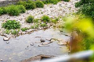 Charmante Immobilie mit Reihenendhauscharakter und direkter Flusslage in Schönau im Schwarzwald – Die vollständige Adresse der Immobilie erhältst du vom Anbieter., 79677 Schönau im Schwarzwald – Vorschaubild 10