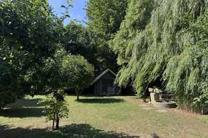 Exklusives Einfamilienhaus mit Einliegerwohnung und großen Garten in Hafennähe! – Rügen (Kreis) – Vorschaubild 6