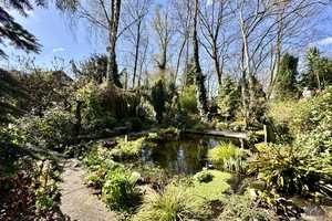 Gartenidylle trifft Wohnkomfort – Gepflegtes Reihenmittelhaus mit parkähnlichem Traumgarten & Teich – Recklinghausen (Kreis) – Vorschaubild 41