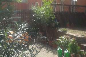 Zentral gelegene  3-Zimmer-Wohnung in Erfurt/Andreasvorstadt – Albrechtstraße 43, 99092 Andreasvorstadt, Erfurt – Vorschaubild 4