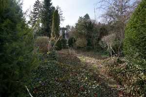 Hauptstadtmakler-Bezugsfreies Reihenmittelhaus in Top- Lage – Berlin – Vorschaubild 2