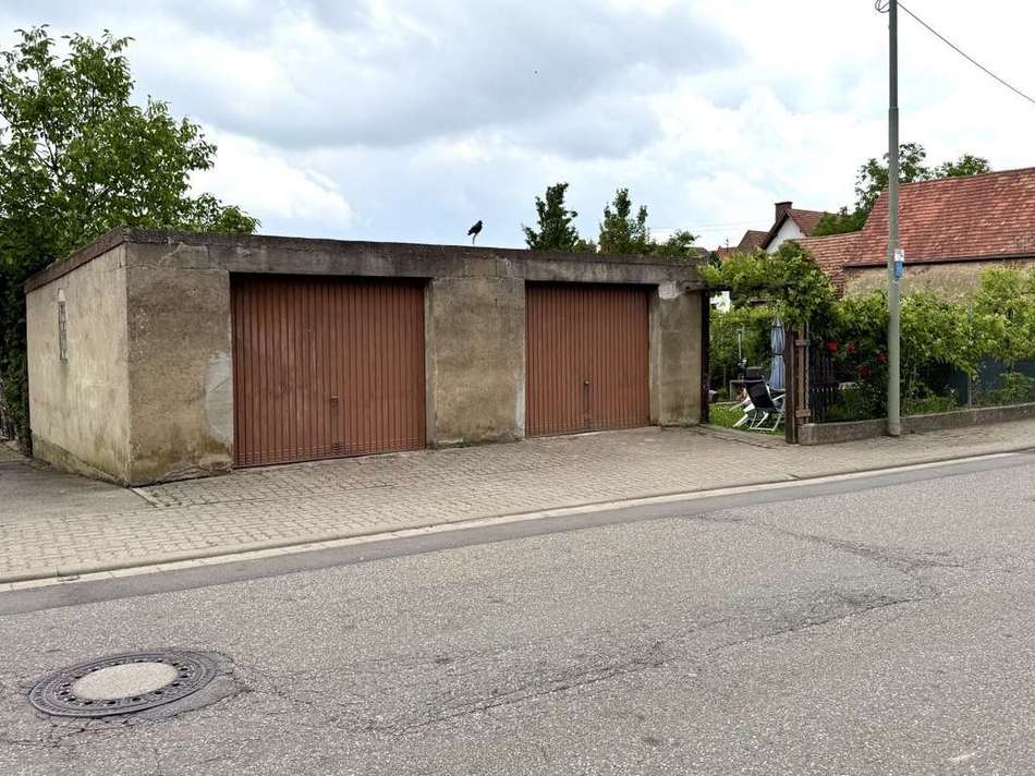 photo_2025-06-07_15-50-05