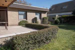 Gepflegter geräumiger Bungalow mit großzügigem Garten – Steinfurt (Kreis) – Vorschaubild 18