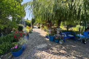 ***GARTEN- UND WOHNTRÄUME WERDEN WAHR***  – Salzlandkreis – Vorschaubild 3