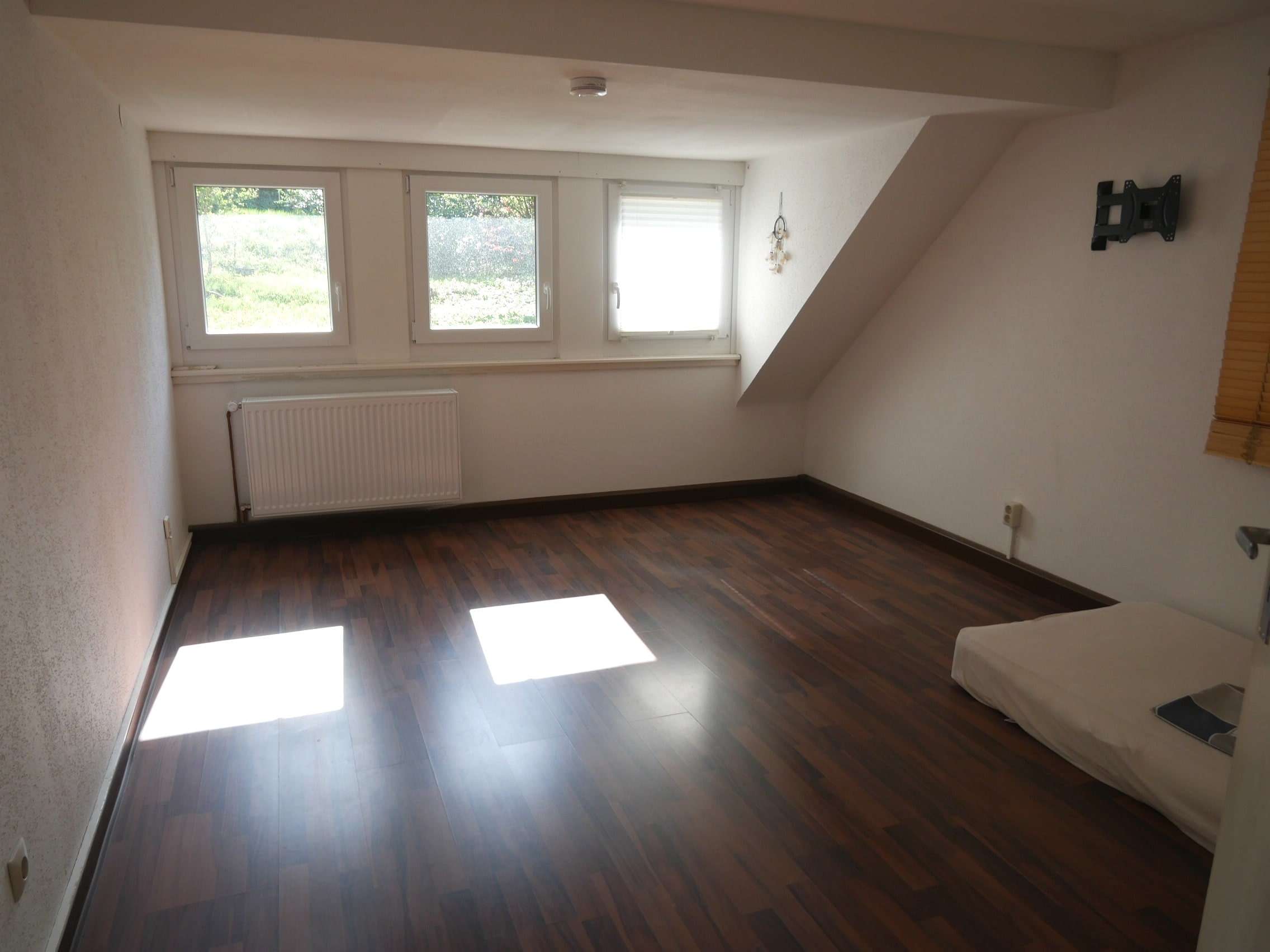 Immobilie in Triberg im Schwarzwald - Lebendiges Stadthaus mit Charakter - vielseitiges Wohn- und Geschäftshaus im Zentrum von Triberg! - Bild 0