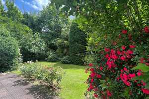 Ruhig leben mit traumhaftem Garten – Neuwied (Kreis) – Vorschaubild 8
