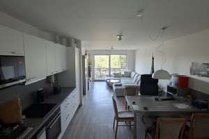 Große 2-Zimmer-Wohnung in der Leipziger Vorstadt 