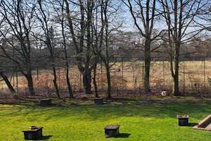 Property thumbnail 13