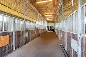 Besonderes Anwesen für Pferdeliebhaber in Emmendorf! – Die vollständige Adresse der Immobilie erhältst du vom Anbieter., 29579 Emmendorf – Vorschaubild 16