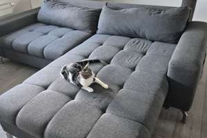 3-Zimmer-Wohnung in Bremen-Osterholz – Armsener Str. 30, 28325 Ellenerbrok-Schevemoor, Bremen – Vorschaubild 30