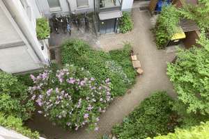 Berlin Mitte/Gesundbrunnen, ruhige Seitenstr., 53qm, Gartenhaus, vermietet. – Neue Hochstr. 8, 13347 Gesundbrunnen, Berlin – Vorschaubild 3