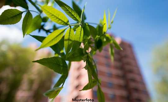 Kuscheliges Appartement mit Weitblick