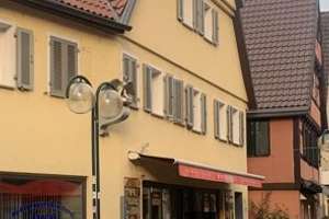 3,5-Zimmer Dachgeschosswohnung im Zentrum