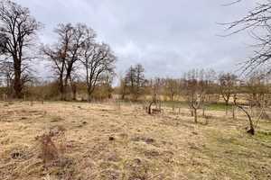 HORN IMMOBILIEN ++ idyllisches Zweifamilienhaus in Wrodow bei Neubrandenburg – Demmin (Kreis) – Vorschaubild 9