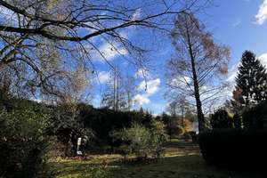 Property thumbnail 18