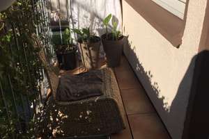 Sonniges 1-Zimmer-Appartment in Wiesbaden, Arndtstr. – Die vollständige Adresse der Immobilie erhältst du vom Anbieter., 65185 Mitte, Wiesbaden – Vorschaubild 2