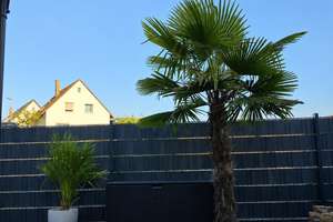 Modernes Haus (179 m²) mit Garten in Waibstadt – Die vollständige Adresse der Immobilie erhältst du vom Anbieter., 74915 Waibstadt – Vorschaubild 2