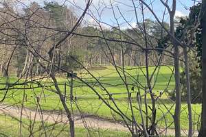 Property thumbnail 19