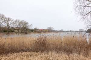 ☆ ☆ ☆ ☆ ☆ Einfamiienhaus am See, großzügig und luxuriös, unweit von Prenzlau ☆ ☆ ☆ ☆ ☆ – Am Grünower See 5, 17291 Grünow – Vorschaubild 19
