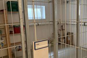 Property thumbnail 11