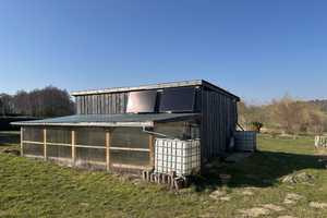 Gepflegter Bungalow mit 1 ha großem Grundstück zentral auf Rügen  – Rügen (Kreis) – Vorschaubild 6