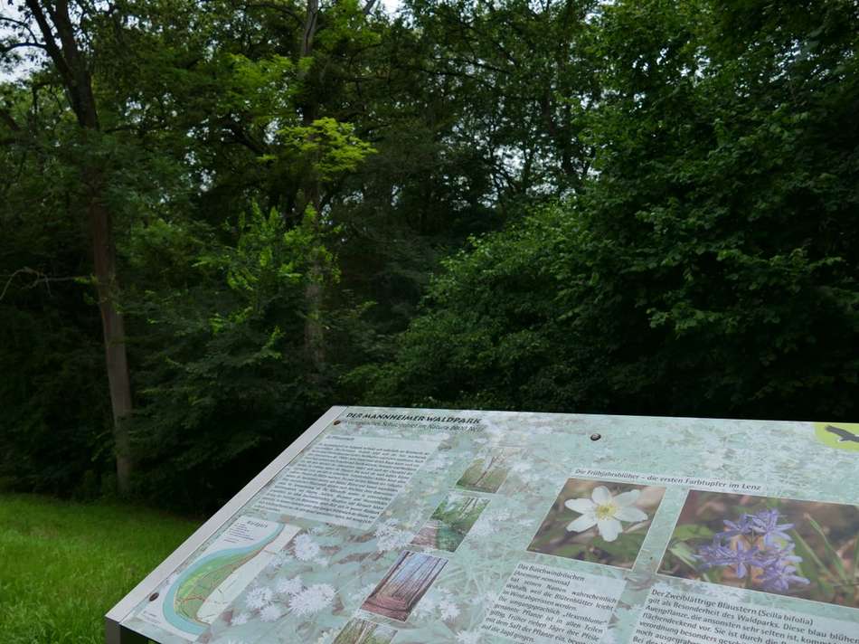 Waldpark