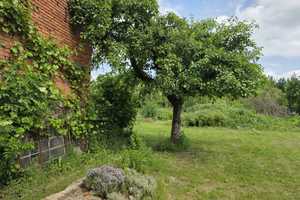 HISTORISCHES BAUERNHAUS preiswerter Bauernhof in Halenbeck-Rohlsdorf – Bergstraße 9, 16945 Prignitz (Kreis) – Vorschaubild 5