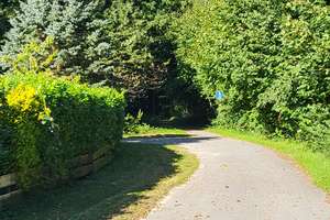 Gr. Plöner See *fußläufig * 980 m² Wfl. * Fachwerk-Anwesen * Sackgassenlage (!) * 5700 qm Grdstk. * – Die vollständige Adresse der Immobilie erhältst du vom Anbieter., 24326 Ascheberg (Holstein) – Vorschaubild 31