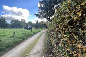Wochenendgrundstück mit Bungalow und Garage in Dresden Rochwitz