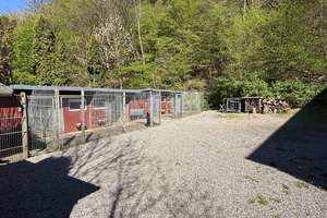 NATURNAHE LAGE MIT PLATZ FÜR FAMILIE, GEWERBE UND INVESTMENT !!! – Die vollständige Adresse der Immobilie erhältst du vom Anbieter., 58091 Dahl, Hagen – Vorschaubild 10