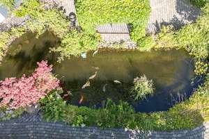 Besondere Immobilie: Winkelbungalow mit PV-Anlage, idyllischem Grundstück, Pavillon und Gartenteich – Die vollständige Adresse der Immobilie erhältst du vom Anbieter., 22547 Lurup, Hamburg – Vorschaubild 43