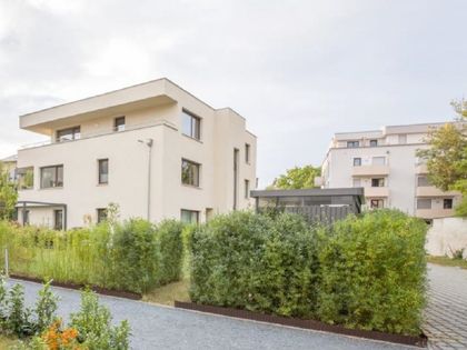 Wohnungen & Wohnungssuche in SüdvorstadtWest (Dresden) ImmoScout24