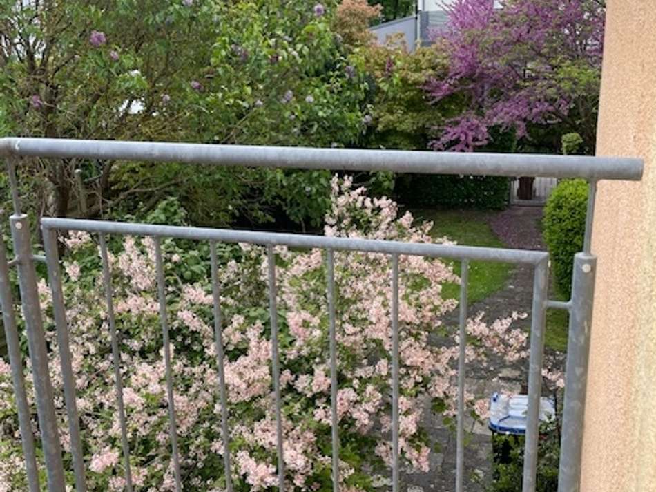 1.OG Blick aus KiZi mit Balkon