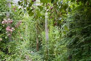 Energetisch saniertes Familienhaus mit separatem Studio, Naturgarten & Waldrandlage – Die vollständige Adresse der Immobilie erhältst du vom Anbieter., 29225 Celle – Vorschaubild 30