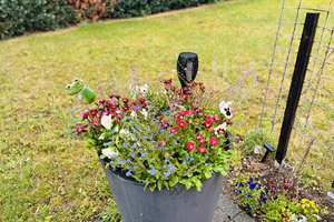 Property thumbnail 26