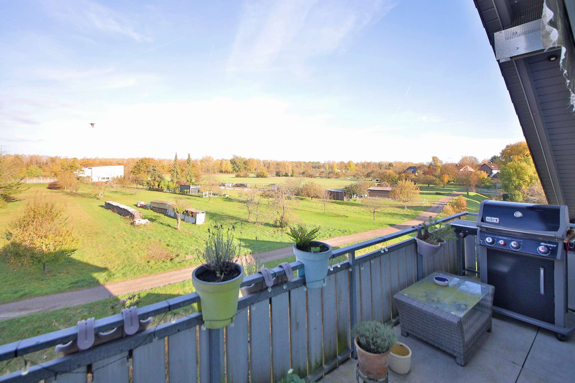 Immobilie in Au am Rhein - Soll es etwas Besonderes sein?
Loftwohnung mit unverbaubarem Ausblick - Bild 7