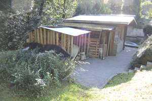 Familienfreundliche exklusive Doppelhaushälfte! – Die vollständige Adresse der Immobilie erhältst du vom Anbieter., 42659 Burg/Höhscheid, Solingen – Vorschaubild 6