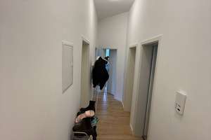 Sonniges WG-Zimmer in gepflegtem  Altbau – Neuhofer Straße 20, 68219 Rheinau, Mannheim – Vorschaubild 6
