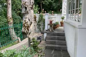 Property thumbnail 15