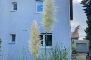 Freistehendes Zweifamilienhaus in Niederwerrn zu verkaufen! – Schweinfurt (Kreis) – Vorschaubild 5