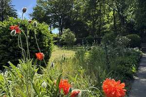Adventspreis, großzügig. Ganz für sich – kleines Einfa.-Haus mit Bachlauf in bester Lage Wuppertals – Oberdüsseler Weg 54, 42113 Uellendahl-Katernberg, Wuppertal – Vorschaubild 8