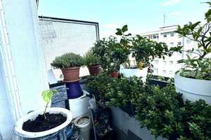 Property thumbnail 16