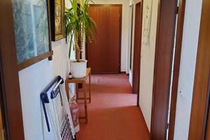 Geräumige 2 Zimmer Wohnung in ruhigem 6-Familien Haus in Erlangen-Bruck – Bierlachweg 7, 91058 Schönfeld, Erlangen – Vorschaubild 9