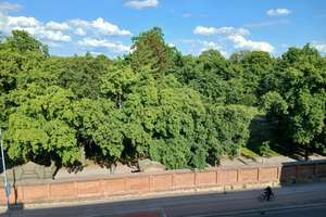 Schöne Aussicht, Balkon, 2 Zimmer in Nähe Uniklinik erwartet Sie! – Leipziger Str. 25, 39112 Leipziger Straße, Magdeburg – Vorschaubild 2