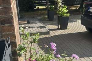 Property thumbnail 31